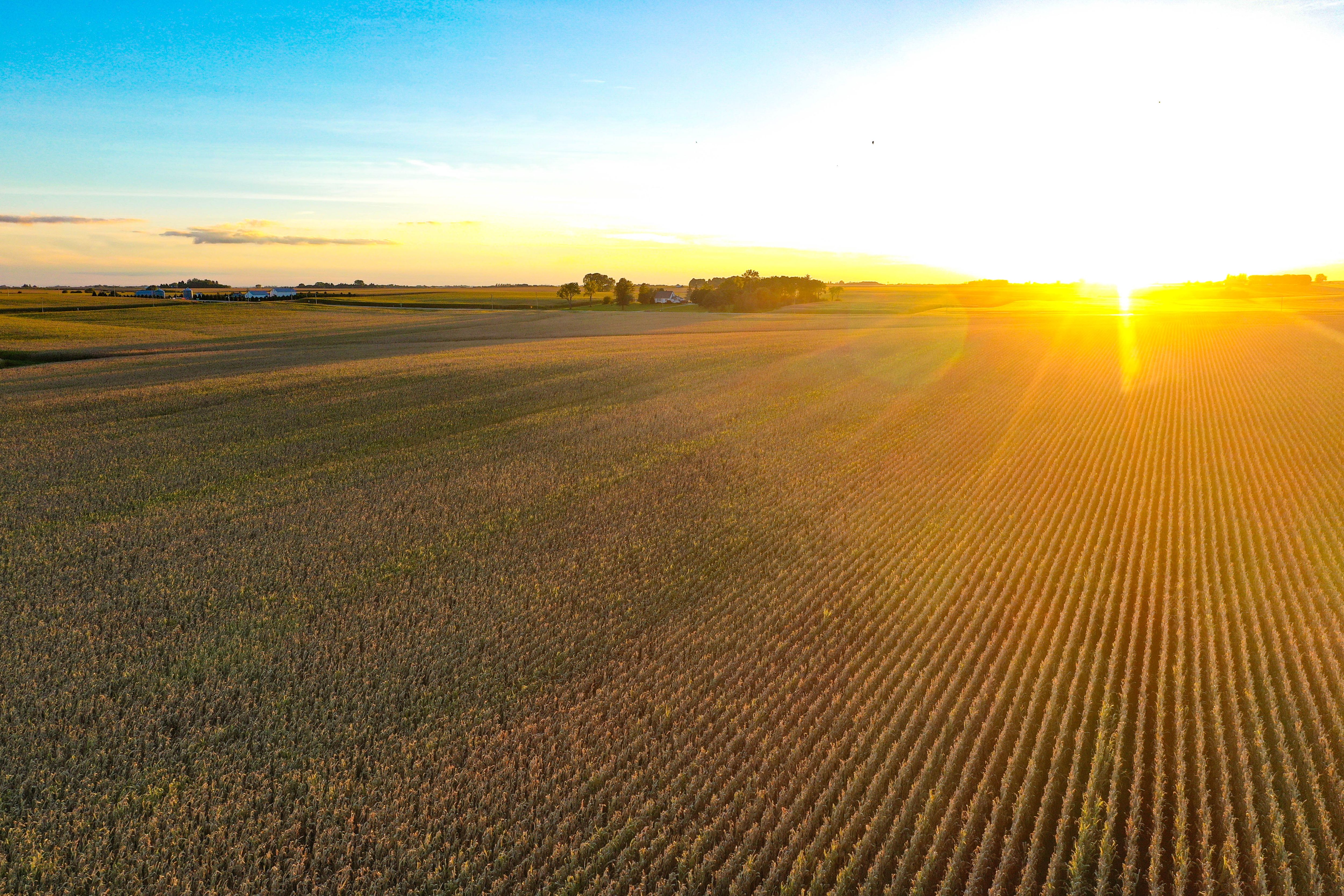 Listing Photo: 24-Butler County Iowa Land For Sale